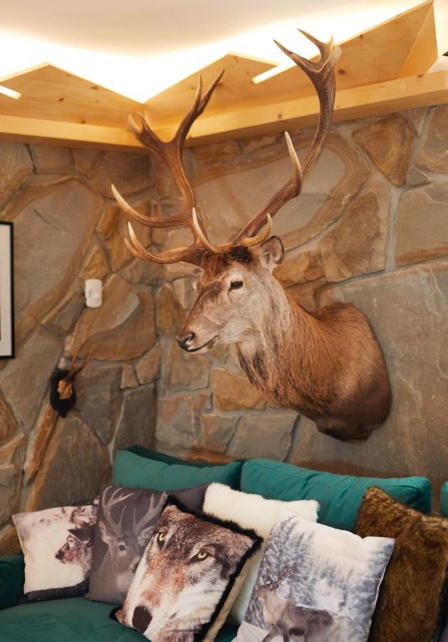 Witkowka Wild Luxury Apartments - Sauna & Spa X Adults Only Вітув Екстер'єр фото